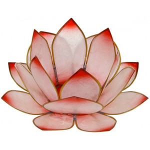 Lotus Levée du Soleil - Rosé 