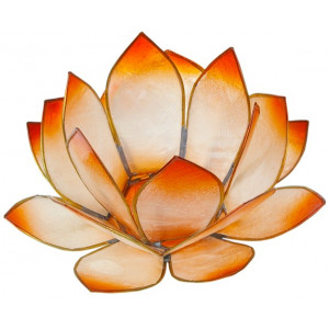 Lotus Levée du Soleil - Mandarine 