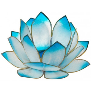 Lotus Levée du Soleil - Turquoise 